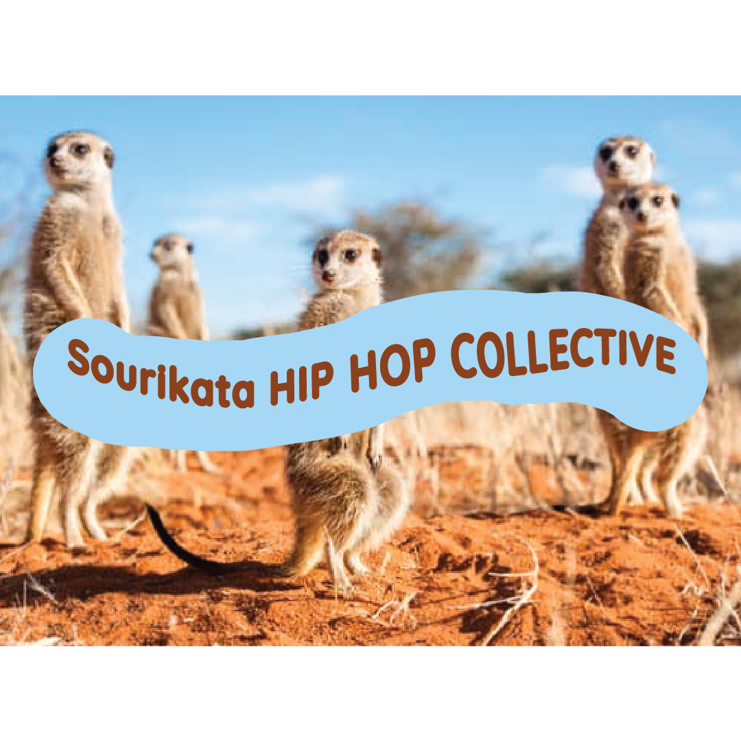 Hip Hop Collective Meet Up